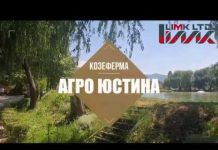 „ЛИМК“ ООД: Козеферма „АГРО ЮСТИНА“