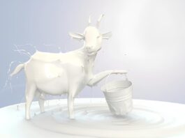 Съществува ли лактоза в козето мляко