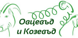 Вече имаме и овцевъд-козевъд