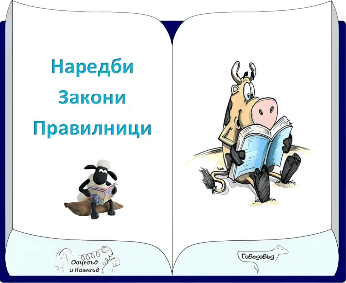 колаж