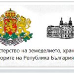 лого, мзх