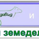 лого, вайбър 1