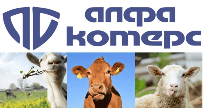 реклама, reklama,-alfa-komers