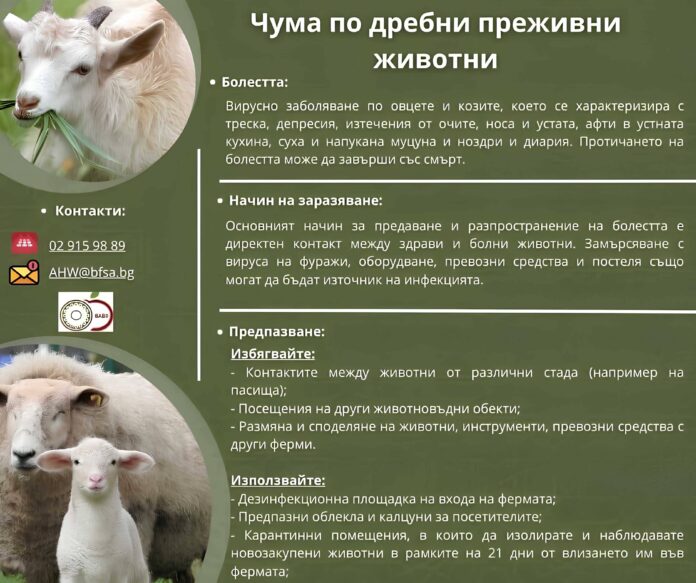 ветеринария