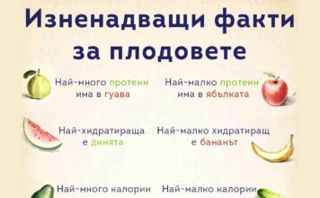 Плодове с характер: кой какво може и къде се дъни