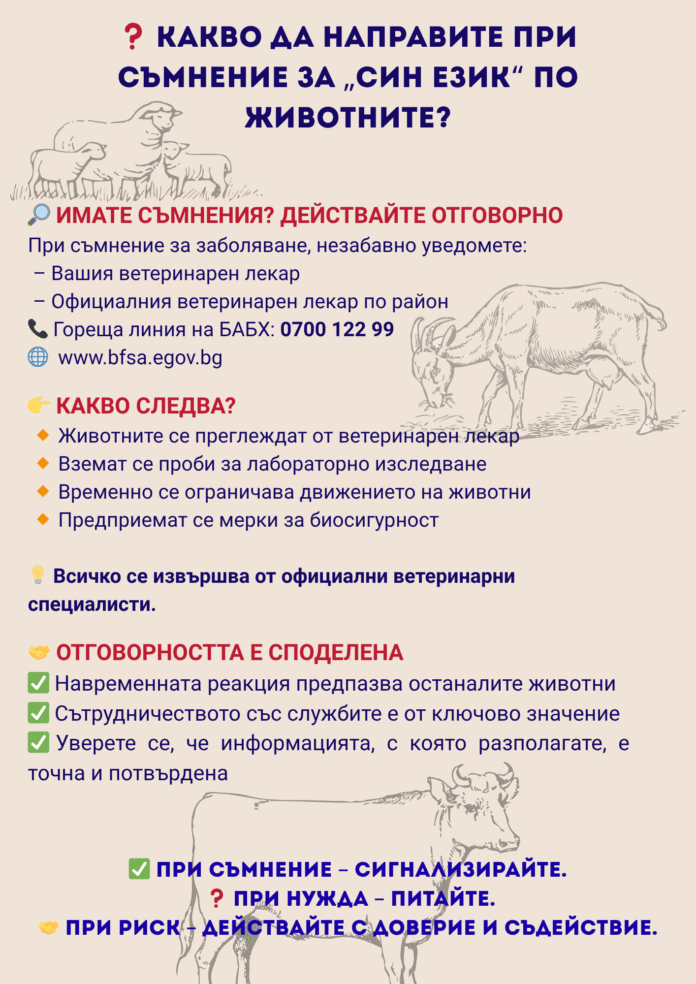 ветеринария