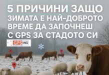 MyGPSing: Зимата наближава! Ще оставите ли спокойствието на стадото си на случайността?