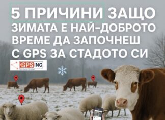 MyGPSing: Зимата наближава! Ще оставите ли спокойствието на стадото си на случайността?