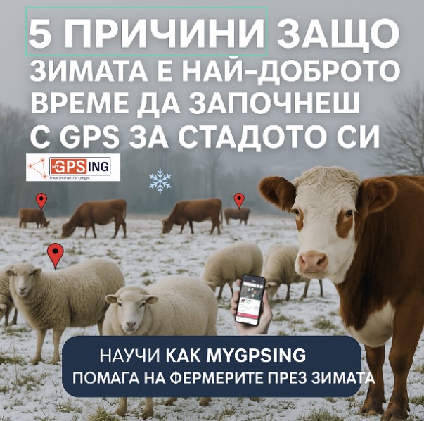 реклама