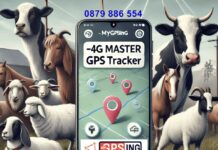 MyGPSing: Как да изберем GPS устройство за животни