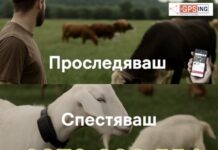 GPS, който връща стадото и спокойствието: решението на MyGPSing за модерния стопанин