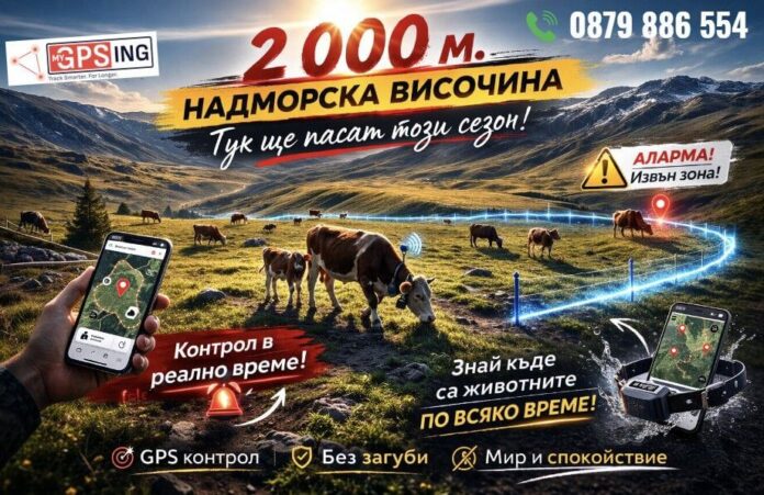 reklama
