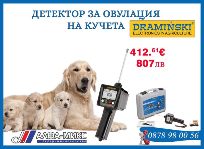 reklama