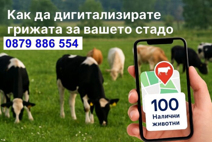 реклама
