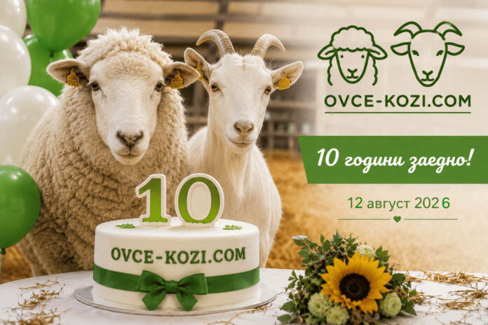 10 godini o-k
