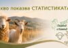 Овчето мляко намалява с 5,1%