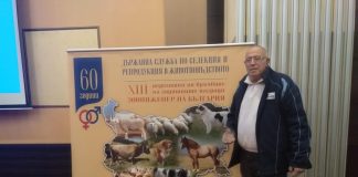 Днес трябваше да празнуваме твоя рожден ден, Мишо… 🖤