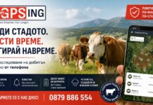 MyGPSing – знаеш къде са животните ти, дори когато не си до тях