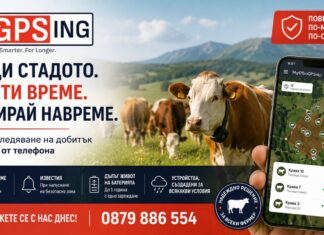 MyGPSing – знаеш къде са животните ти, дори когато не си до тях