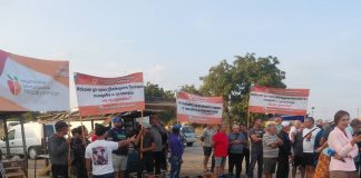 Прасковопроизводители от Сливенско на протест: По-изгодно е да изхвърлим прасковите, отколкото да ги продаваме