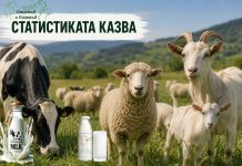 Овчето и козето мляко достигат пик през май, кравето остава гръбнакът на мандрите