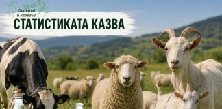 Овчето и козето мляко достигат пик през май, кравето остава гръбнакът на мандрите