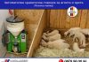 „Алфа микс“ ООД/ Автоматична хранителна станция за агнета и ярета (млечна майка)