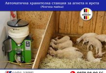 „Алфа микс“ ООД/ Автоматична хранителна станция за агнета и ярета (млечна майка)