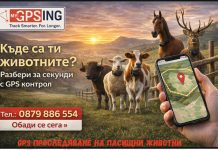 MyGPSing – Животното напусна пасището? Ти ще разбереш веднага