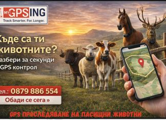 MyGPSing – Животното напусна пасището? Ти ще разбереш веднага