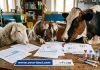 2 част/ България и Гърция под лупата на EFSA: Ваксинация или унищожаване на заразените стада?