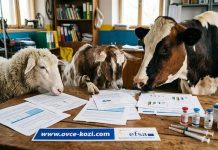4 част/ България и Гърция под лупата на EFSA: Какво позволява ЕС за ваксинацията при животните