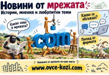 Робот може да замени земните пчели при опрашването на домати в оранжерии