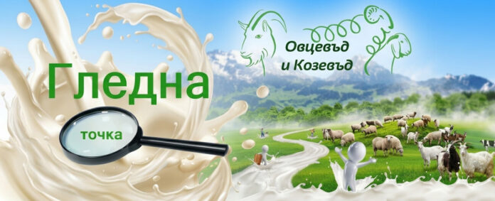 колаж
