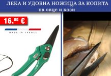 „Алфа микс“ ООД/ Копитни инструменти и принадлежности