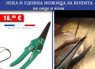 „Алфа микс“ ООД/ Копитни инструменти и принадлежности