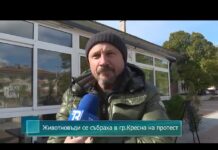 Животновъди от Югозапада поискаха справедливо подпомагане и обявиха готовност за нови протести